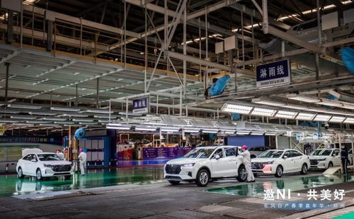 春涌綠城，潮趣煥新 東風日產鄭州春季嘉年華燃情啟幕